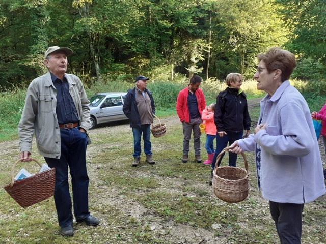 Châtenois, consignes dans le bois